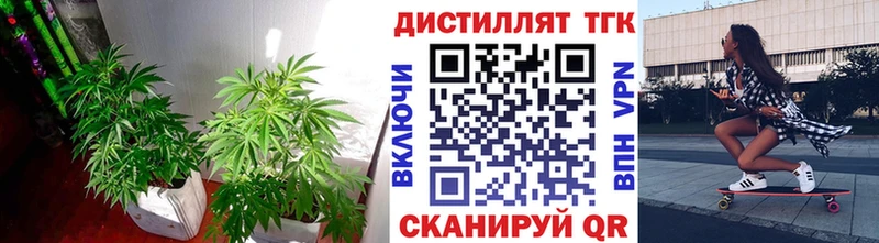 ТГК концентрат  Озёры 